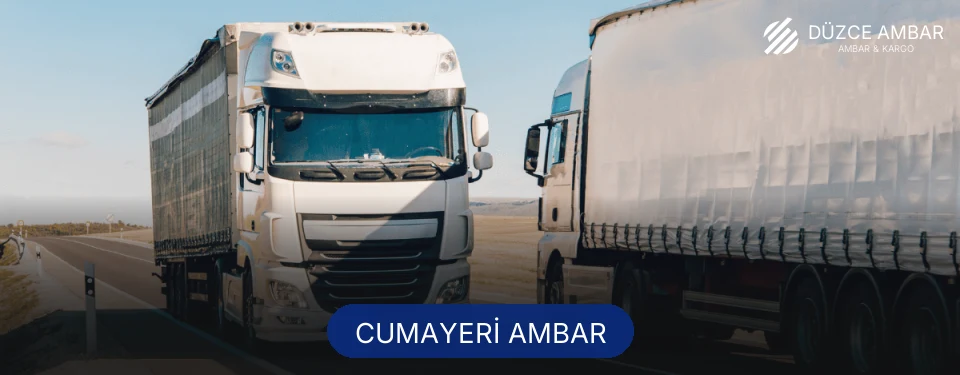 Cumayeri Ambar