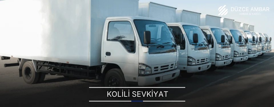 Düzce Kolili Sevkiyat Ambar Firmaları