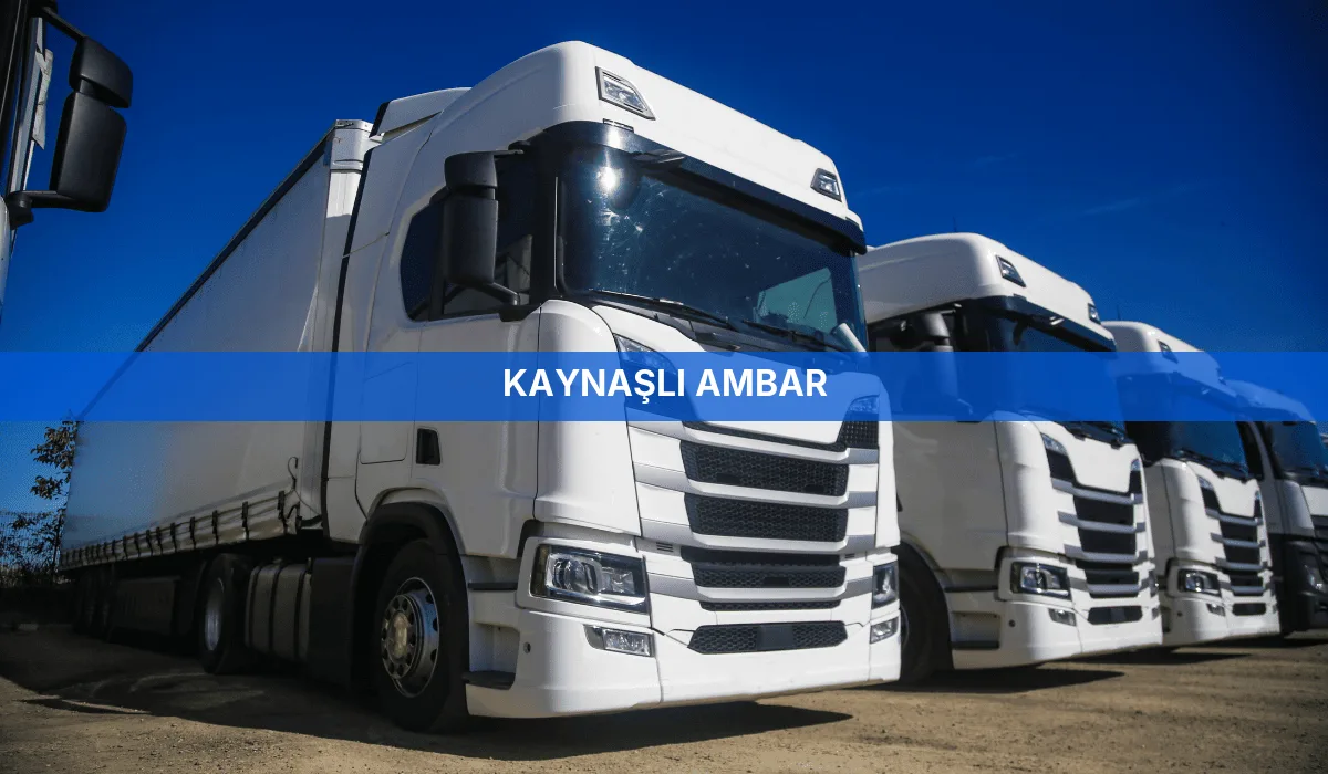 Kaynaşlı Ambar