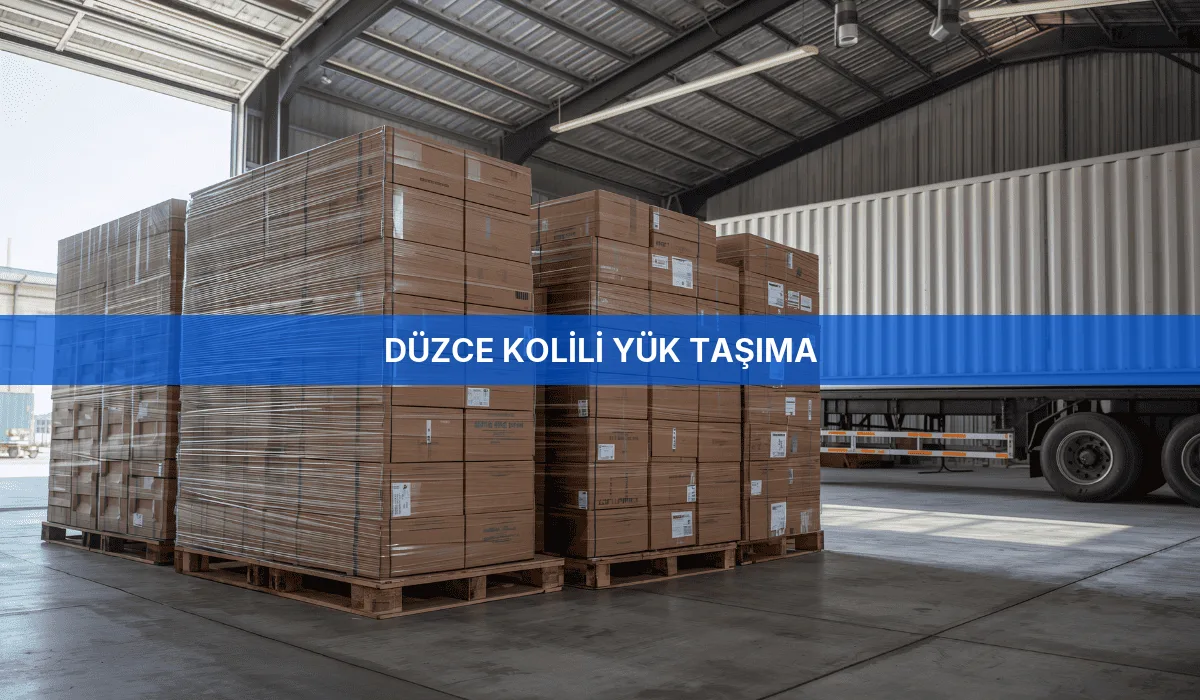 Düzce Kolili Yük Taşıma